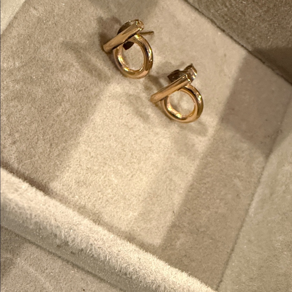 Elegant Gold Hoop Earrings